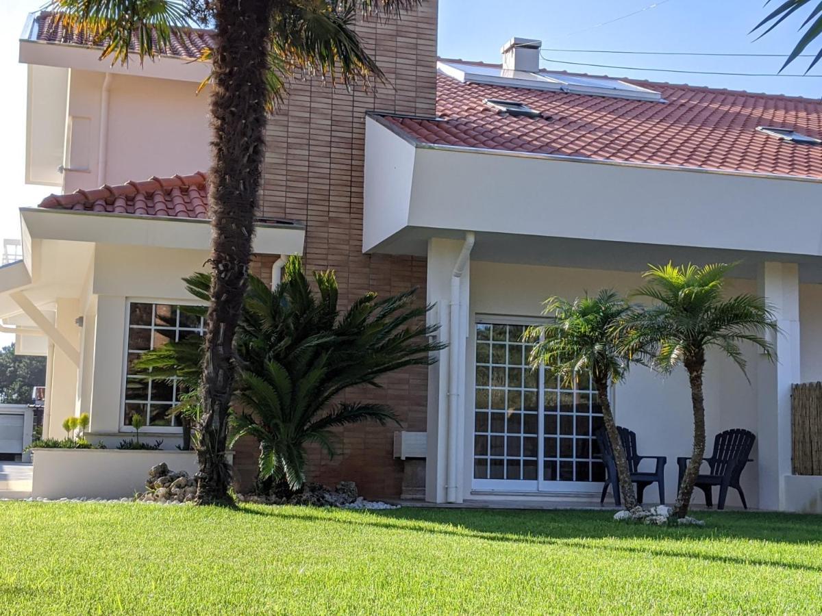 הוילה אובאר The Palm House מראה חיצוני תמונה